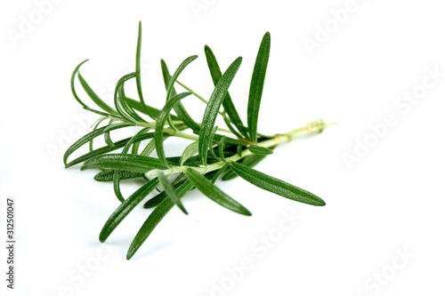 Rosemary