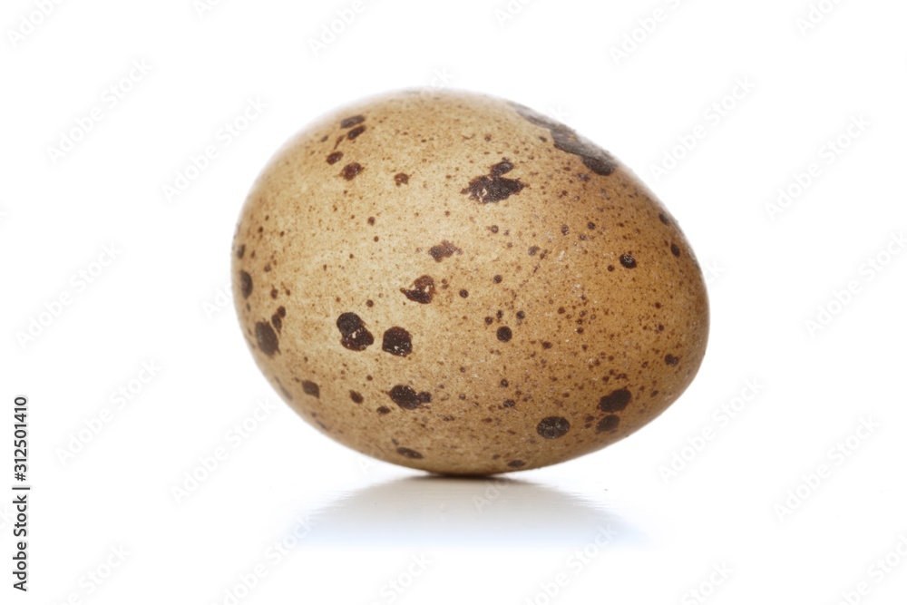 Fototapeta premium Quail eggs