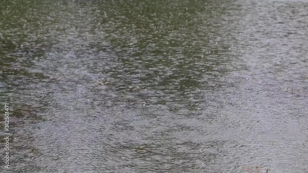 Heavy rain splashing on the surface of a pond with reflections and a shallow depth of field Heavy rain splashing on the surface of a pond with reflections and a shallow depth of field