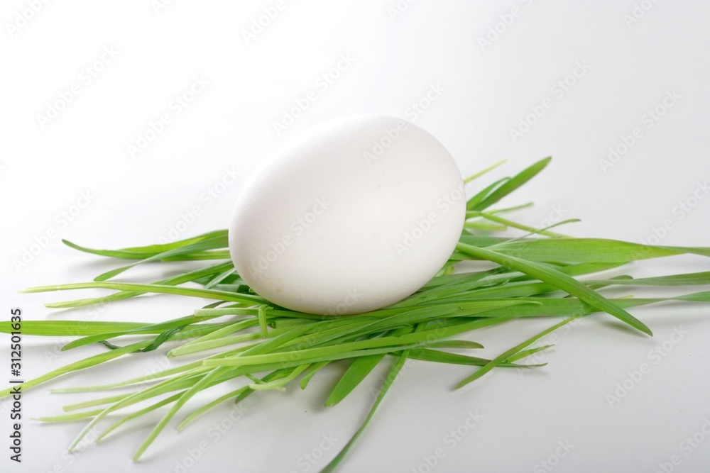 Easter egg on grass - studio shot Easter egg on grass - studio shot