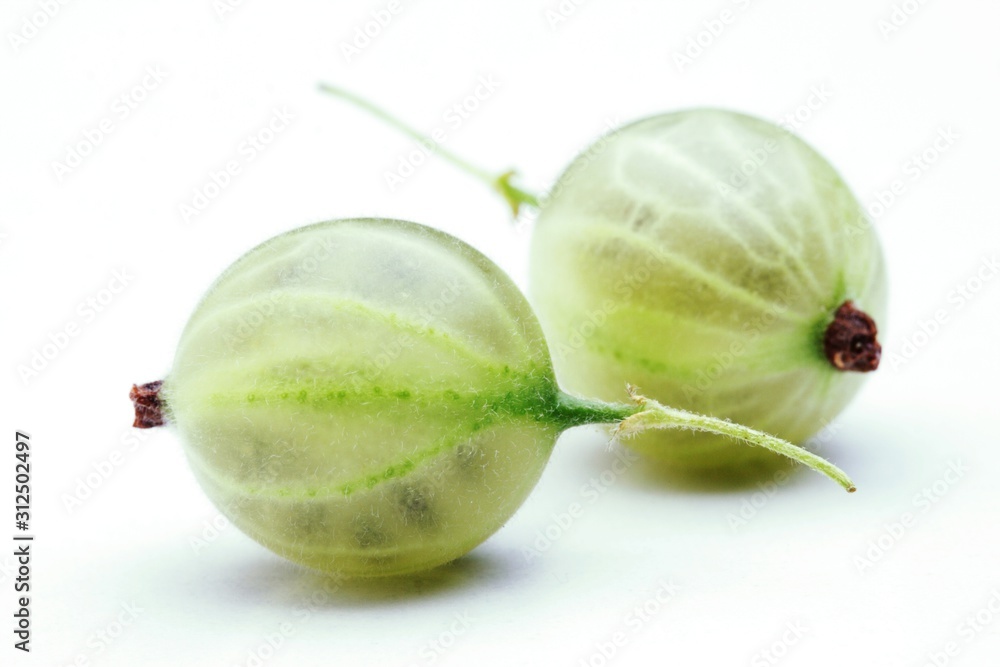 Close up of gooseberry on white bacground Close up of gooseberry on white bacground
