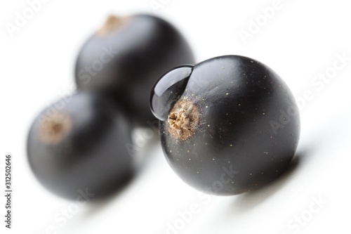 Black currants on white background