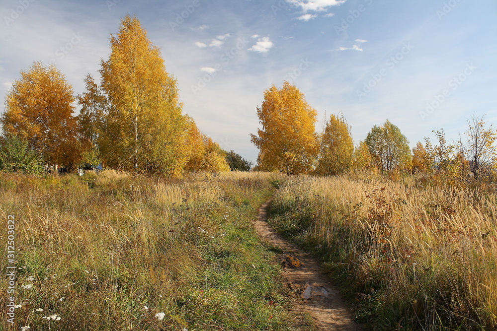 Fototapeta premium road in autumn forest
