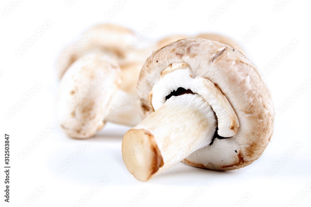 Fototapeta premium Champignones