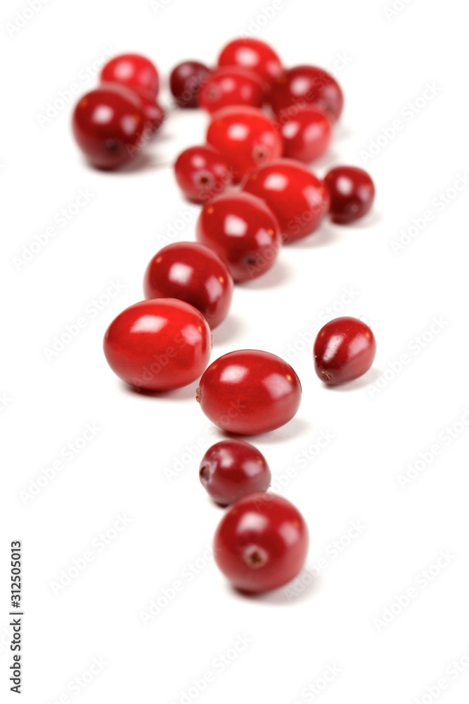 Cranberries Cranberries