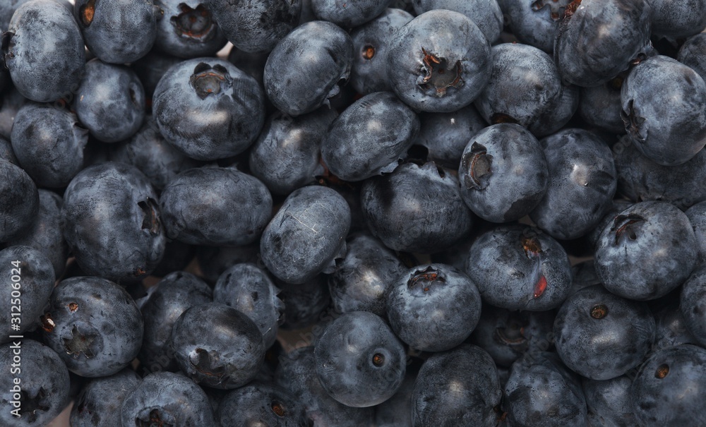 Blueberry Blueberry