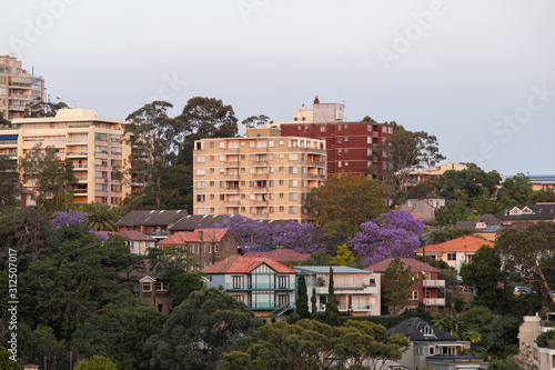 View of buildings surrounding by trees.