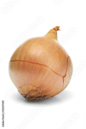 Onions over white background - close-up