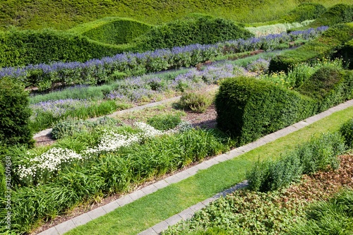 Rows of beautifully designed hedges