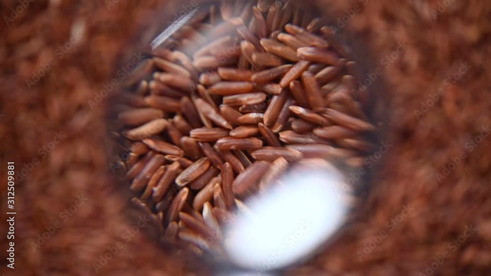 Raw organic rice berry, brown rice mixed texture on rotating background. Food ingredient concept. Top view, healthy lifestyle Raw organic rice berry, brown rice mixed texture on rotating background. Food ingredient concept. Top view, healthy lifestyle