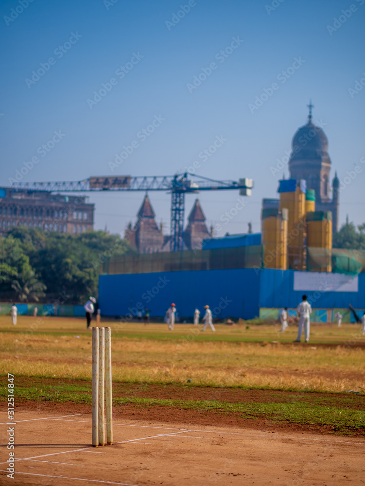Fototapeta premium Cricket Stumps