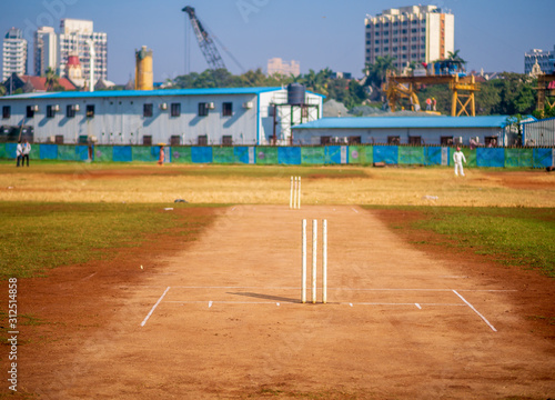 Cricket Stumps