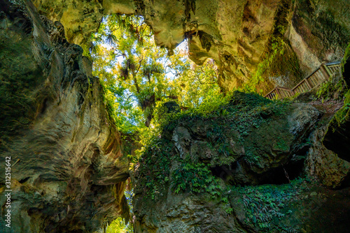 Mangapohue Natural Bridge, Waitomo, Waikato, New Zealand