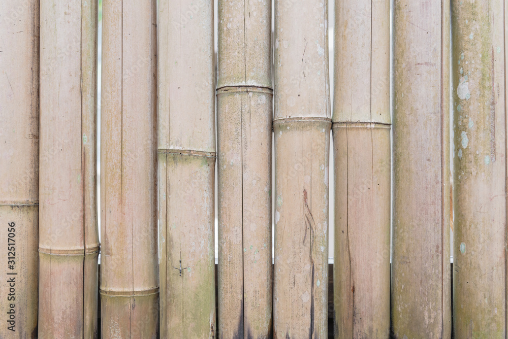 Brown dried bamboo sticks pattern background full frame view Brown dried bamboo sticks pattern background full frame view