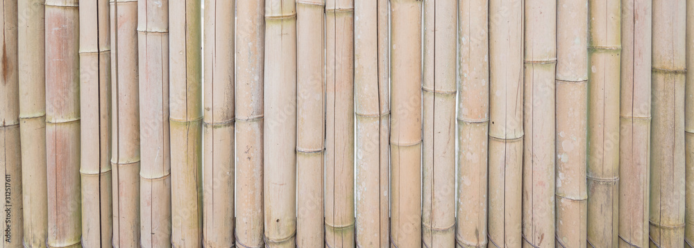 Panoramic brown dried bamboo sticks pattern background full frame view Panoramic brown dried bamboo sticks pattern background full frame view