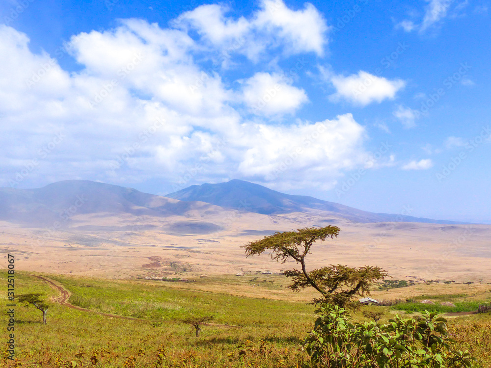 Landscape Bomas Serengetti inside the Ngorongoro Conservation Area National Park Tanzania Africa