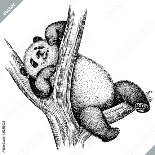 black and white engrave isolated panda vector illustration