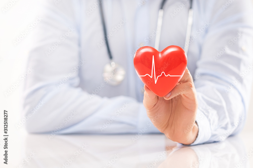 The doctor is holding and showing a red heart. The doctor is holding and showing a red heart.