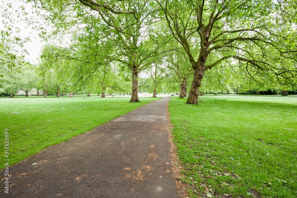 View of walkway and trees in park