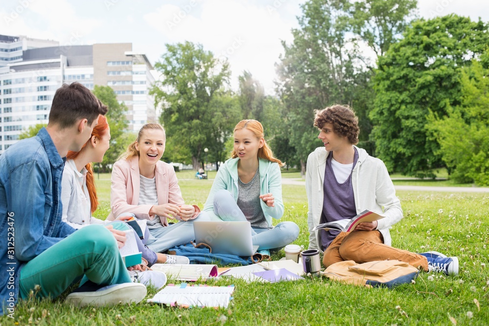 University friends studying together on grass University friends studying together on grass