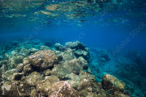 Underwater scene with stone bottom. Tropical transparent ocean