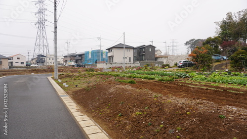 未開拓の土地