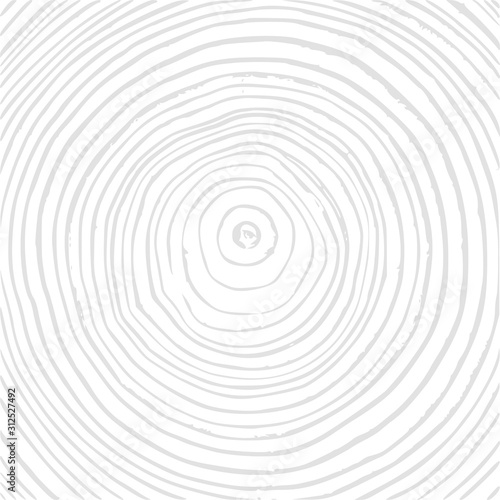 Tree rings background, cut tree trunk, wooden texture, lumber concept. Vector graphics.