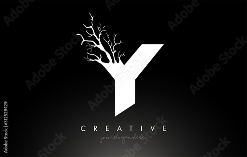 Letter Y Design Logo with Creative Tree Branch. Y Letter Tree Icon Logo