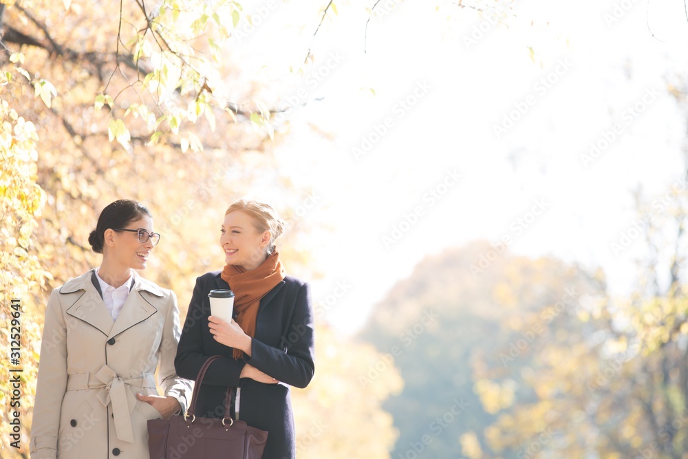 Happy businesswomen conversing while walking at park on sunny day Happy businesswomen conversing while walking at park on sunny day
