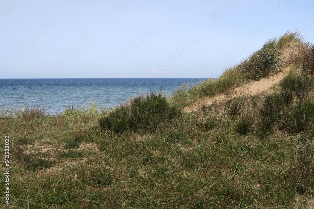 Blick von den Dünen der Steilküste bei Wustrow auf die Ostsee Blick von den Dünen der Steilküste bei Wustrow auf die Ostsee