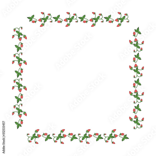Square frame made of wild strawberry. Vector berries on white background for your design. © Asahihana