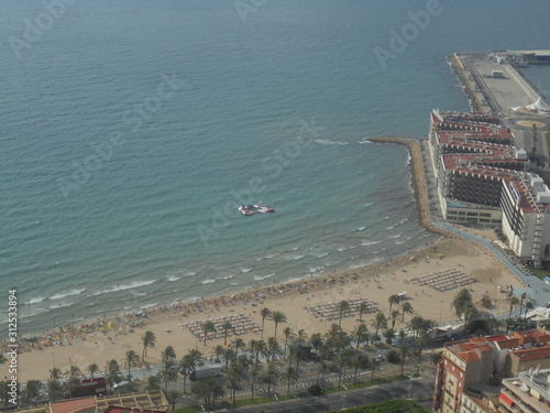 Mare, spiaggia e palmeto