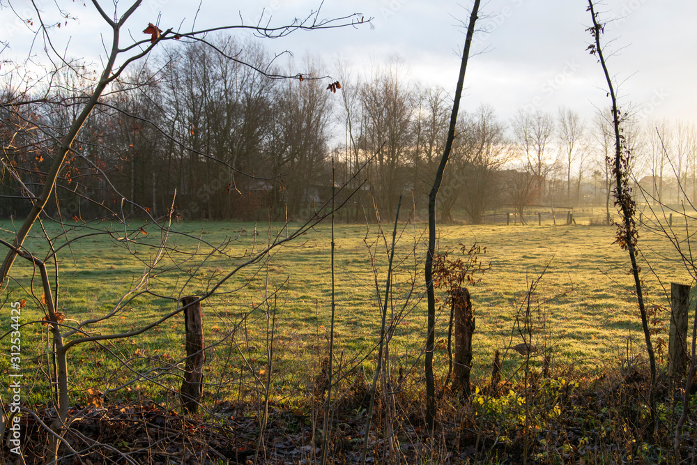 Morgenstimmung im Bruch von Bünde in Ostwestfalen, die Flußniederung der Else. Morgenstimmung im Bruch von Bünde in Ostwestfalen, die Flußniederung der Else.