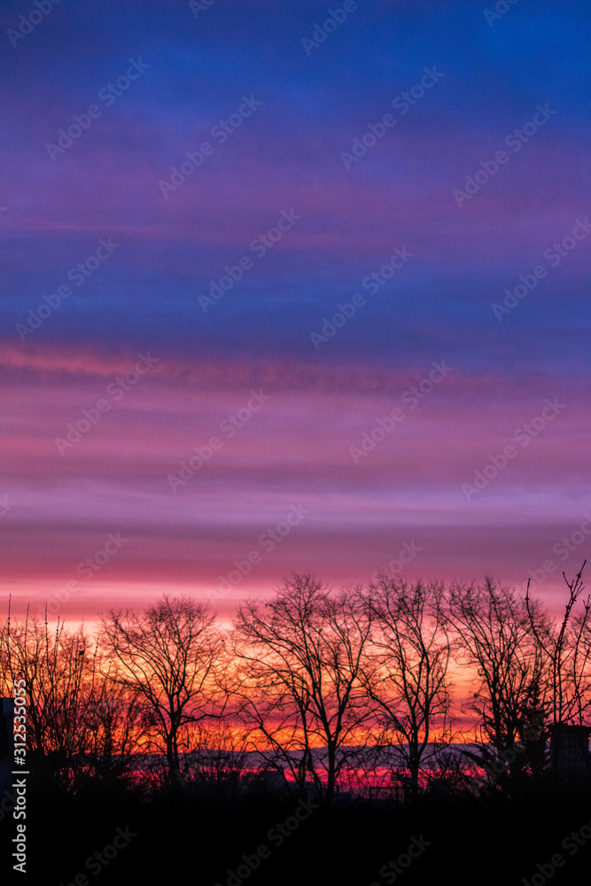 Fototapeta premium Winter Sunrise