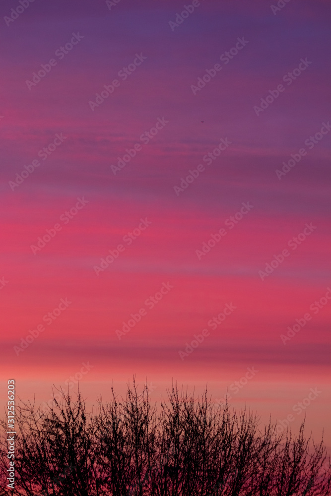 Fototapeta premium Winter Sunrise