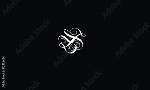 YZ abstract vector logo monogram template photo