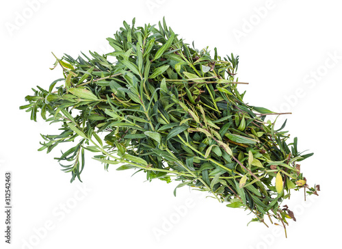 bundle of fresh hyssop (hyssopus) herb isolated