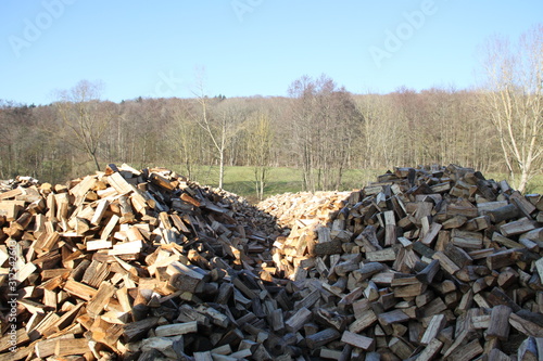 Industrie bois de chauffage