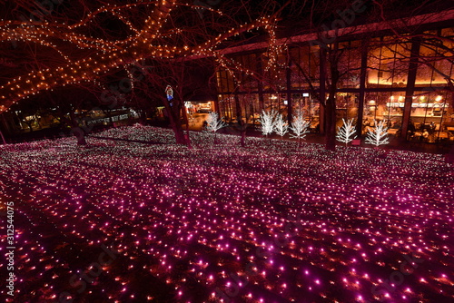 Japanese Illumination Photo in kanagawa