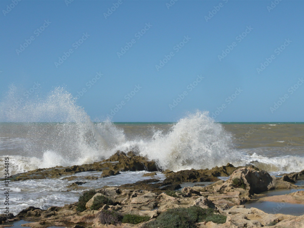 Dashing/Crashing large grey waves against rocks with tide pools and  fauna and flora with vast cloudless blue sky horizon 