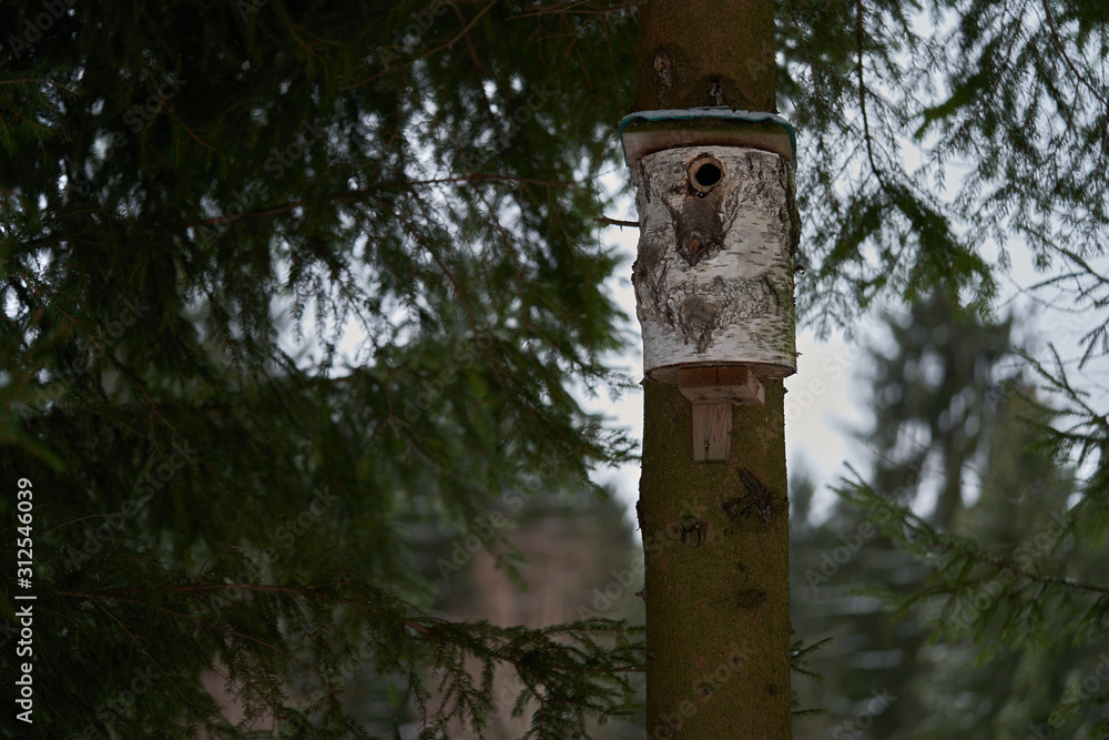 Bird house mounted on a spruce tree in the forest. A simple bird house made of birch wood.