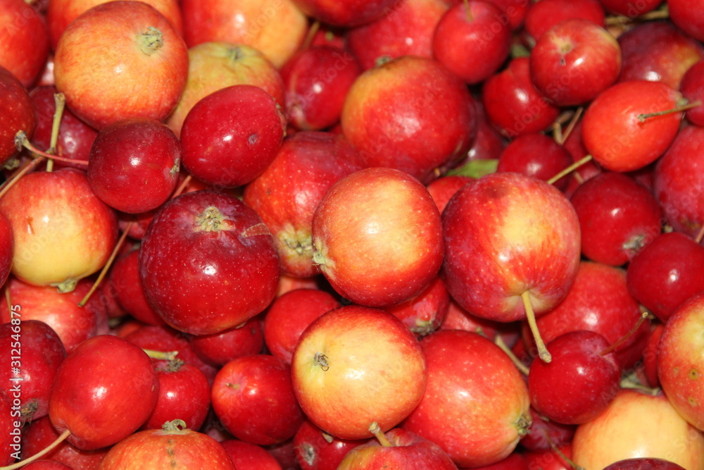 Background of red apples with stems Background of red apples with stems