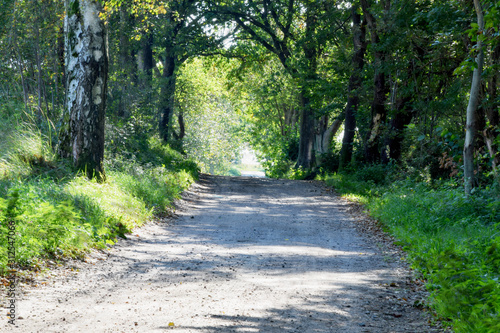 Fototapeta Naklejka Na Ścianę i Meble -  Jedna z polnych dróg w okolicach Drawska Pomorskiego