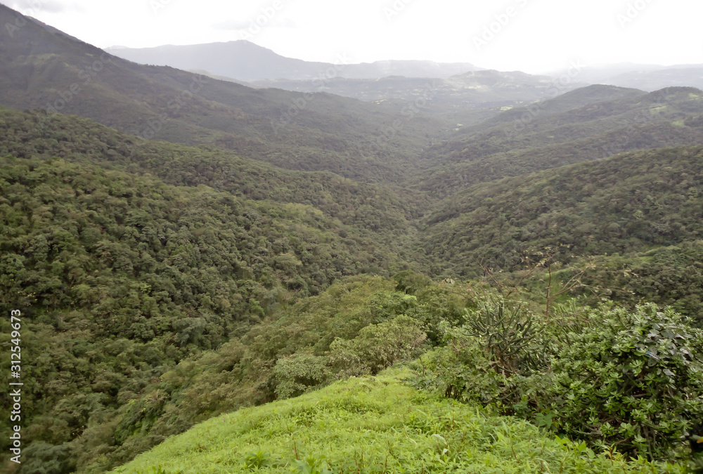 Beautiful view of valley. Greenery all over the mountain on a rainy season.