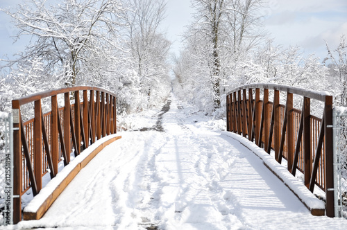 Photography Rusty metal bridge in winter
