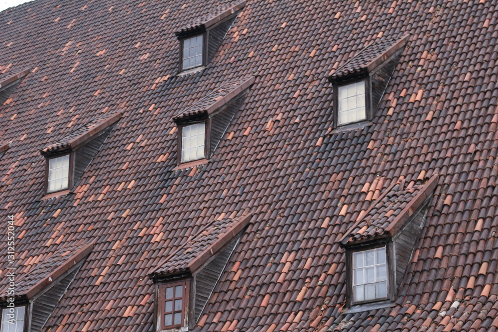 slanted tile roof with windows