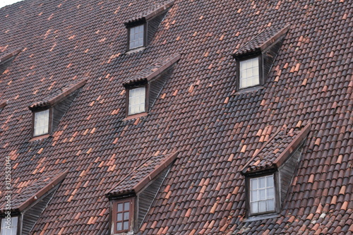 slanted tile roof with windows