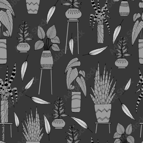 seamless pattern in monochrome, with the image of houseplants