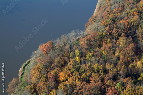 Aerial photo oak forest in autumn of Crna Mlaka