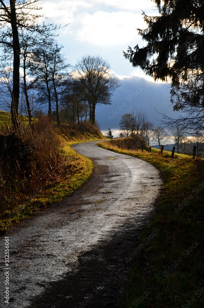 Fototapeta premium Weg